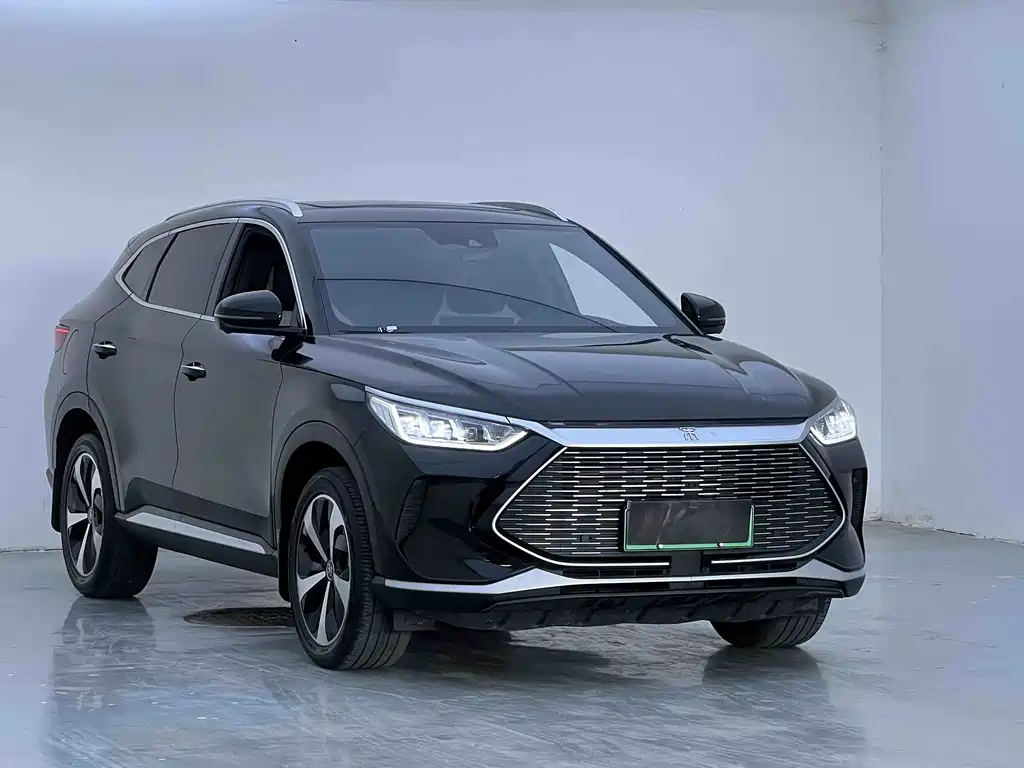 BYD PLUS New Energy 2023 — фото 2