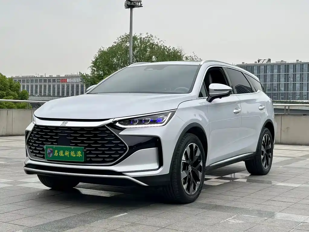 BYD Tang New Energy 2024 — фото 1