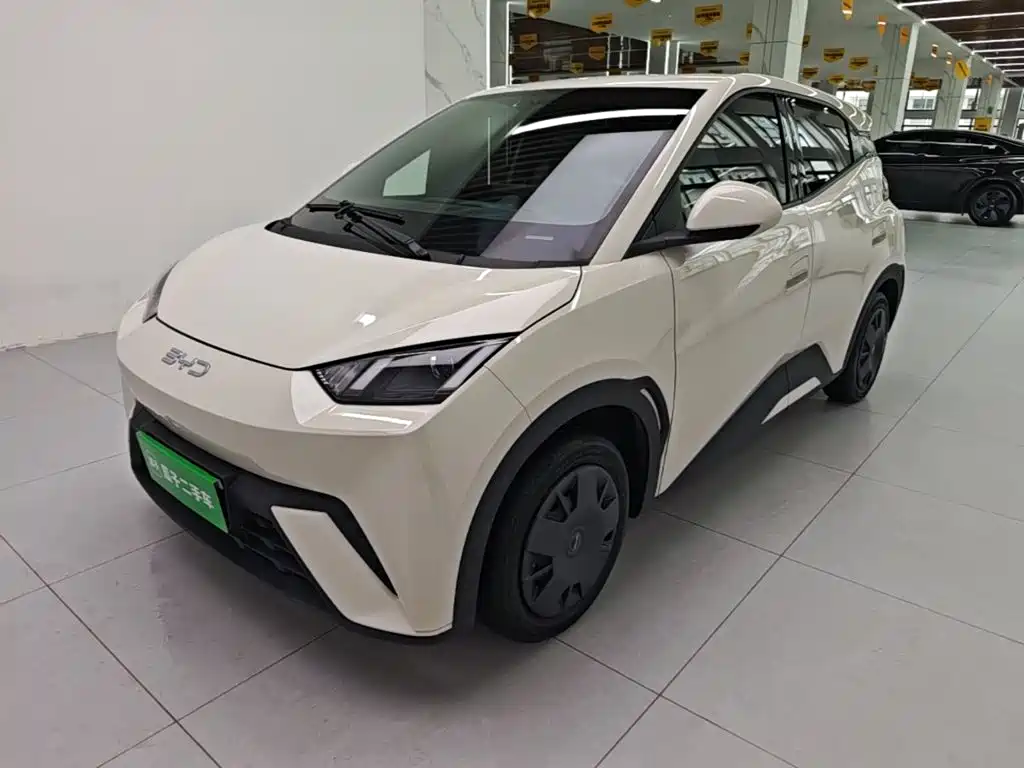 BYD Seagull 2024