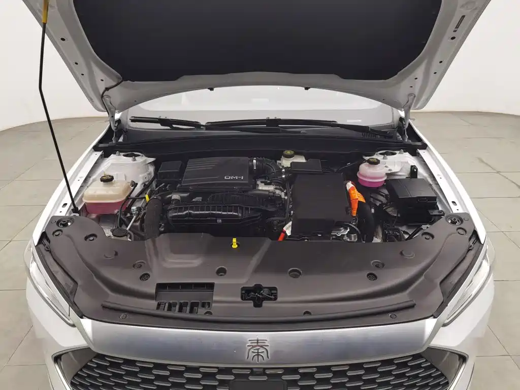 BYD Qin PLUS 2023