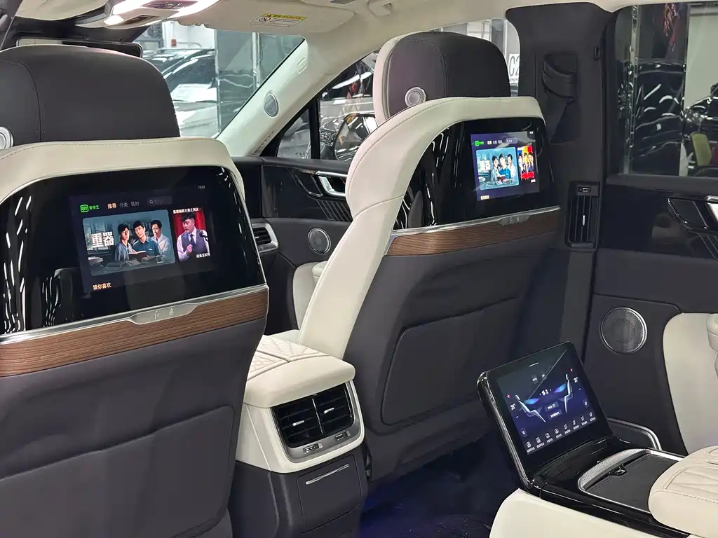 Hongqi E-HS9 2022 — фото 12