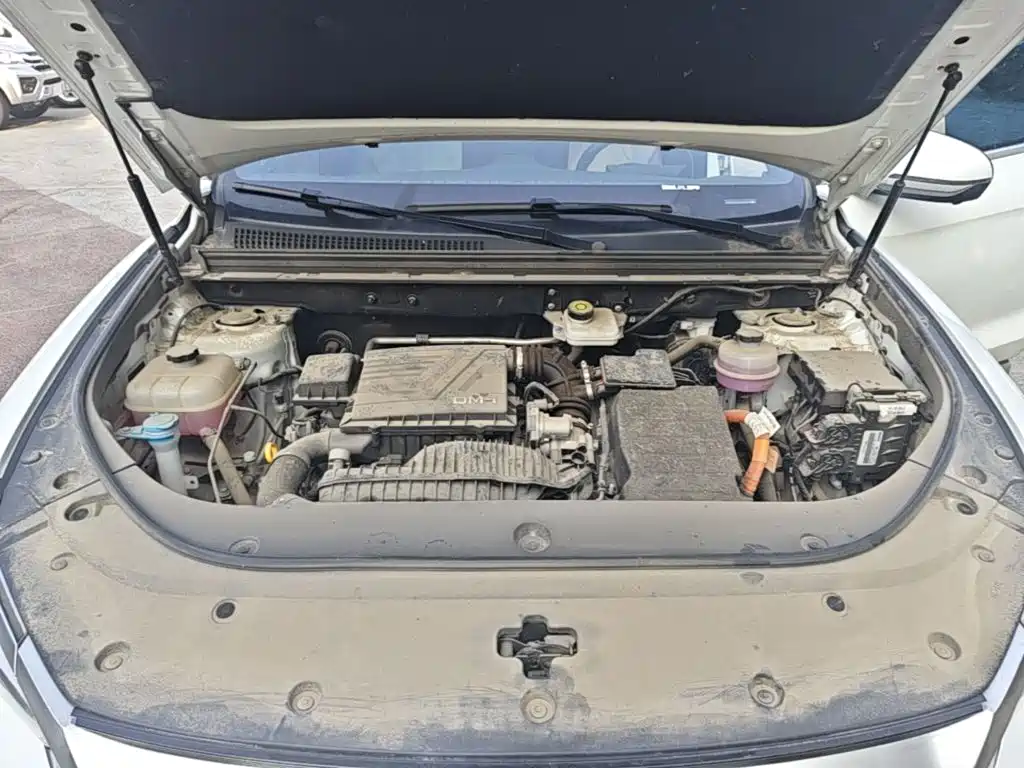 BYD Song Pro New Energy 2024 — фото 20