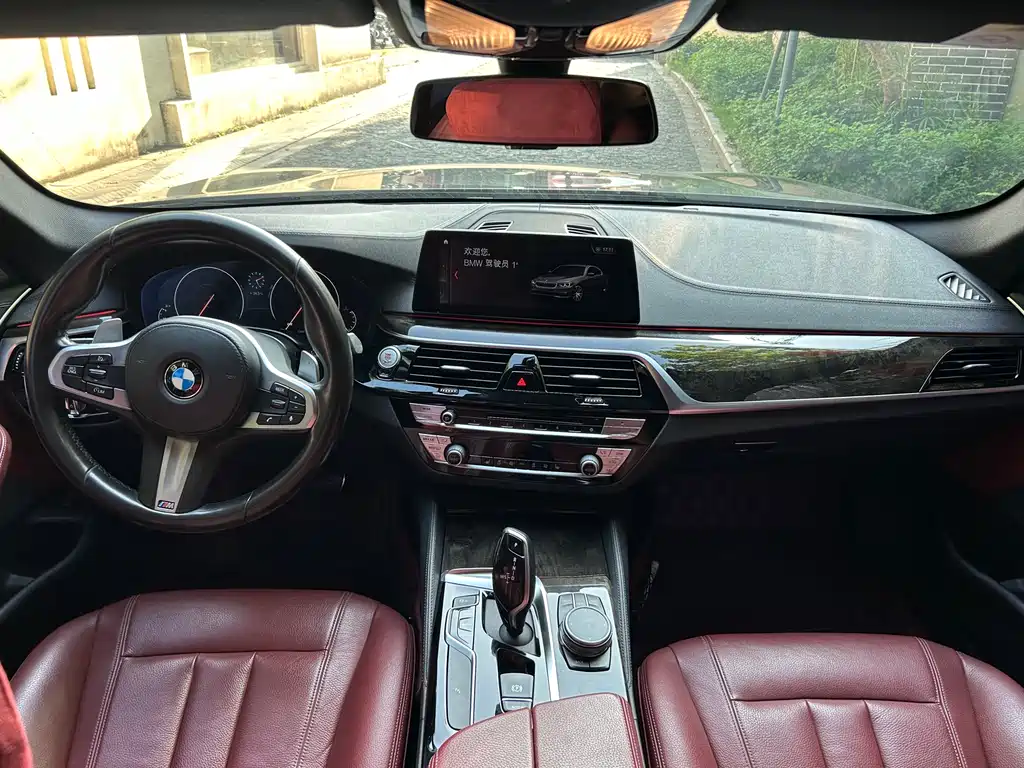 BMW 5 Series 2019 — фото 14