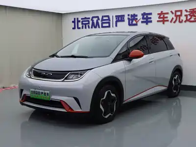 BYD Dolphin 2022