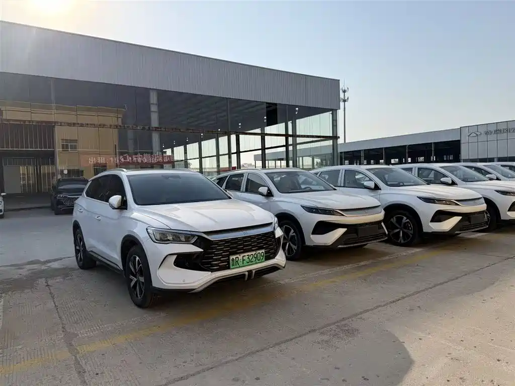 BYD Pro New Energy 2026 — фото 3