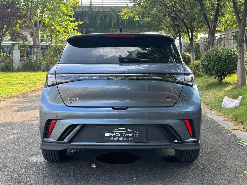BYD Dolphin 2023 — фото 12