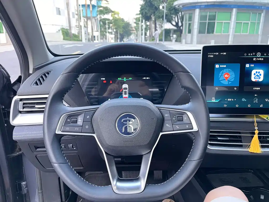 BYD Pro New Energy 2020 — фото 17