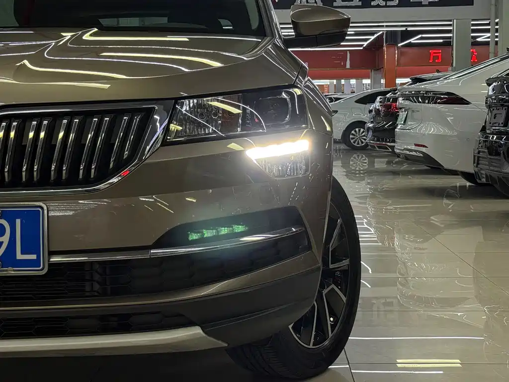 Skoda Karoq 2021 — фото 7