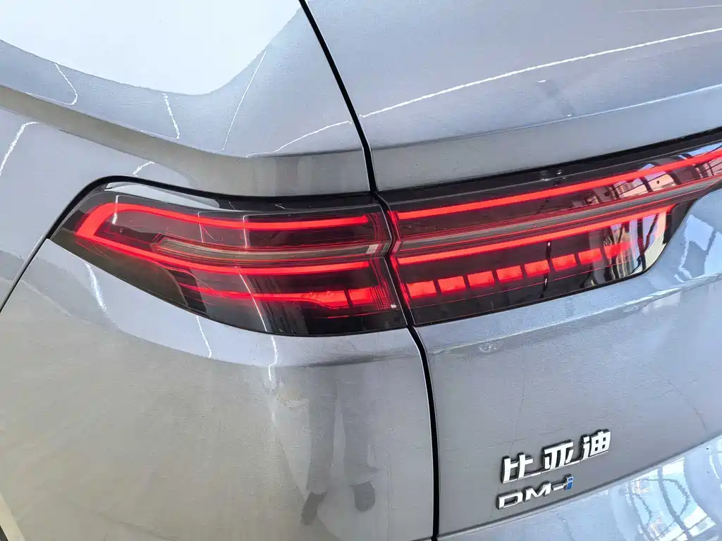 BYD Pro New Energy 2024 — фото 15