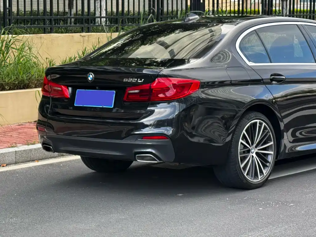 BMW 5 Series 2020 — фото 19