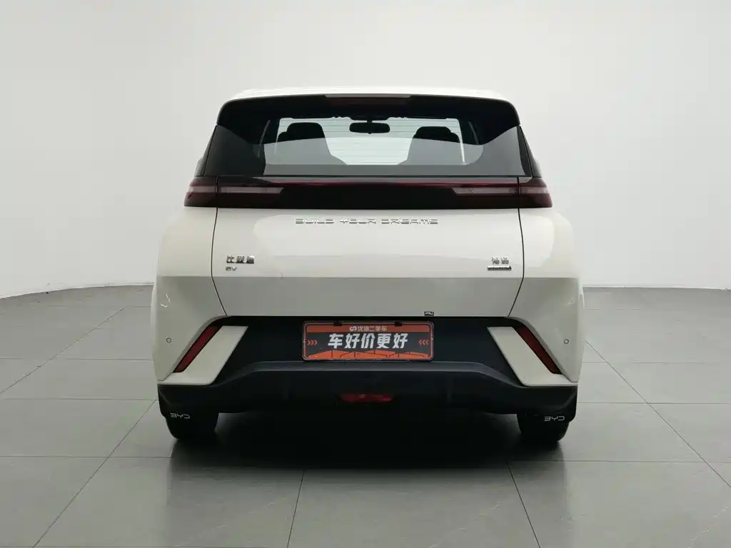 BYD Seagull 2024