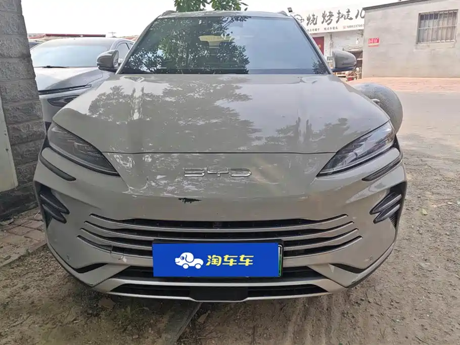 BYD PLUS New Energy 2024 — фото 2