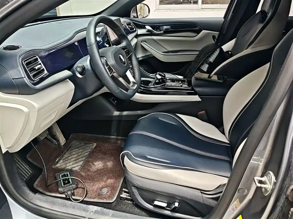 BYD Qin PLUS 2021 — фото 15