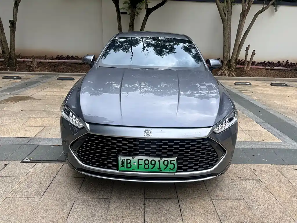 BYD Qin PLUS 2021 — фото 2