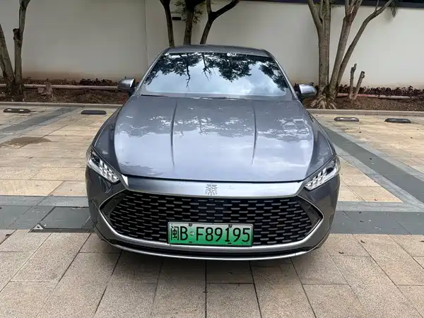 BYD Qin PLUS 2021