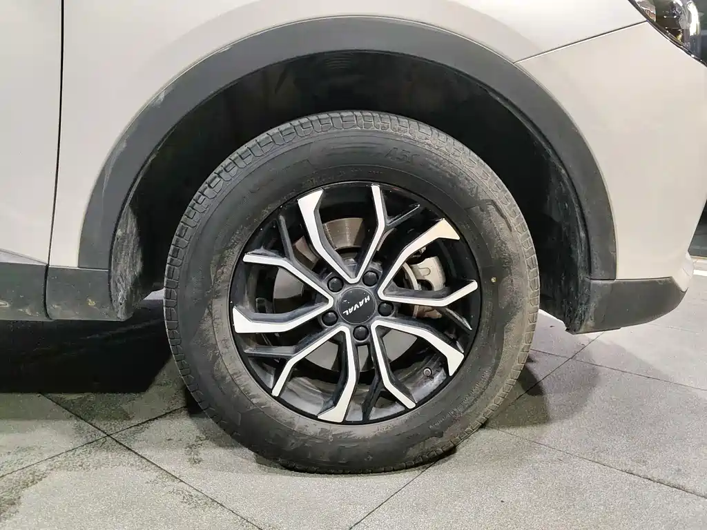 Haval H6 2023 — фото 16