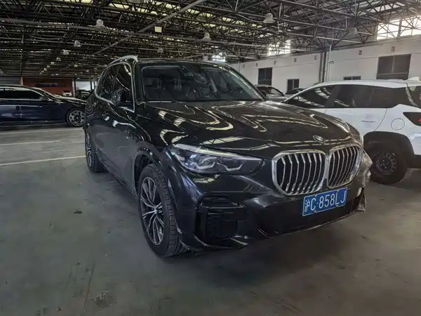 BMW X5 2022