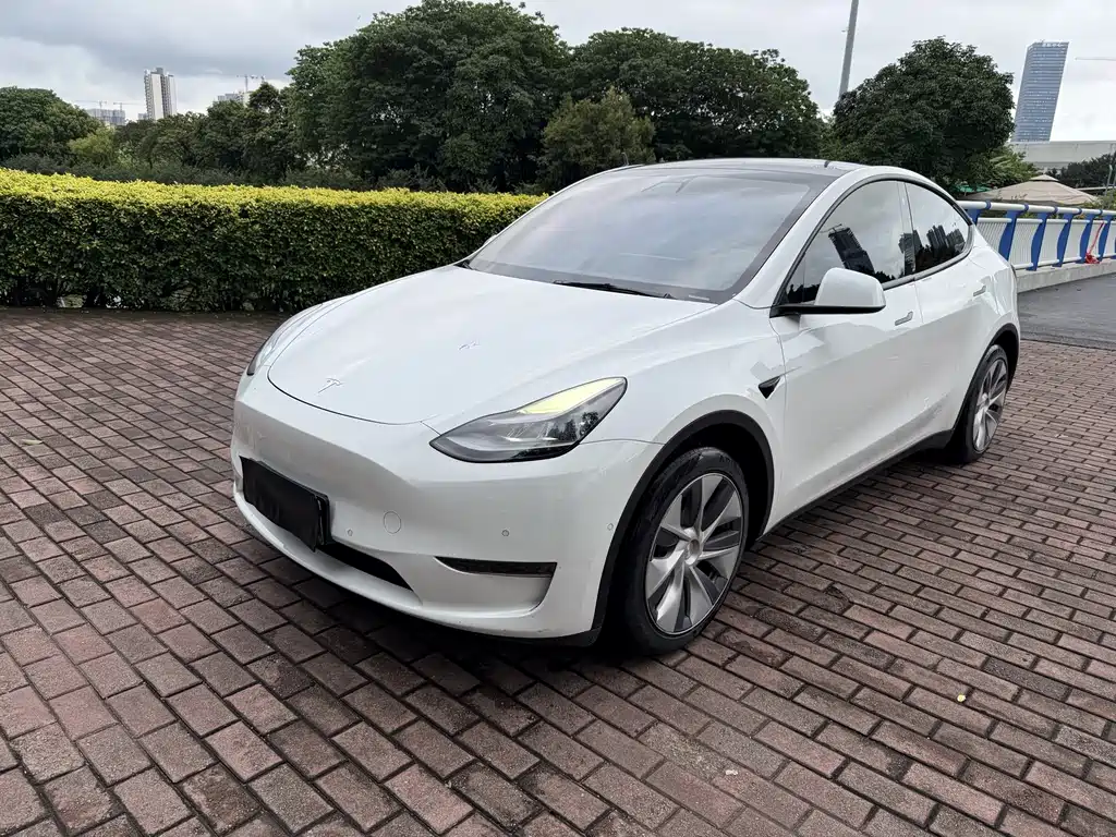 Tesla Model Y 2021 — фото 1