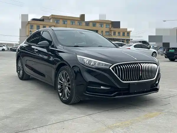Hongqi H5 2020