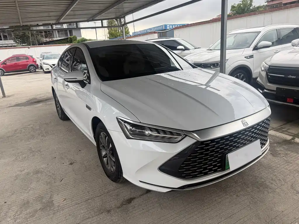 BYD Qin PLUS 2023 — фото 2