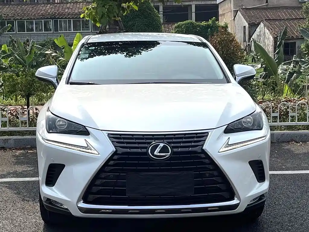 Lexus NX 2018 — фото 2