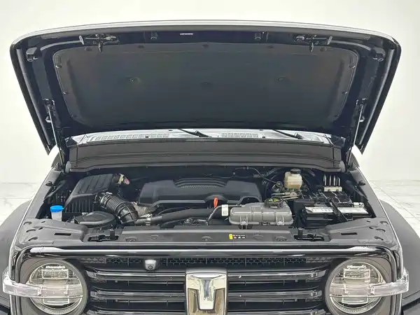 Tank 300 2024