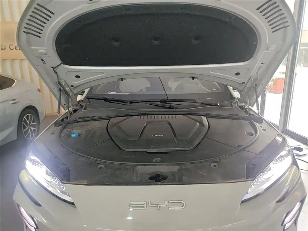 BYD PLUS New Energy 2024 — фото 20