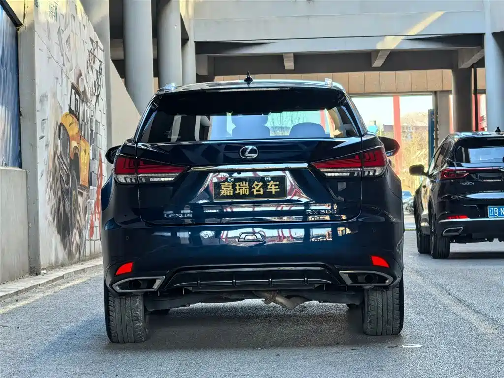 Lexus RX 2022 — фото 3