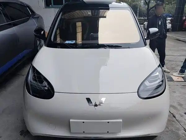 Wuling Bingo 2024