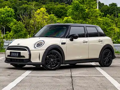 MINI MINI 2021