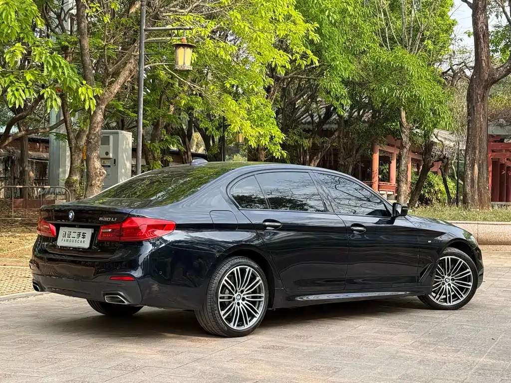 BMW 5 Series 2017 — фото 20