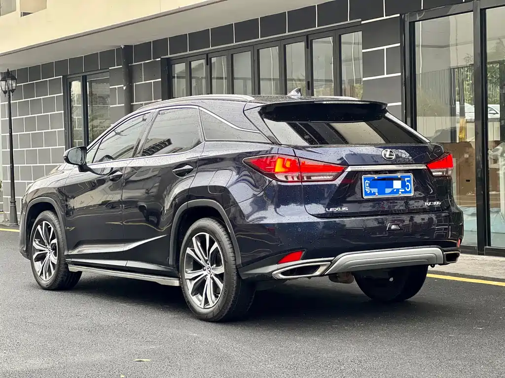 Lexus RX 2022 — фото 15