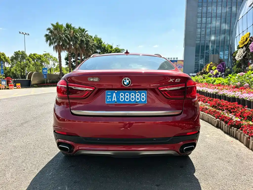 BMW X6 2018 — фото 21