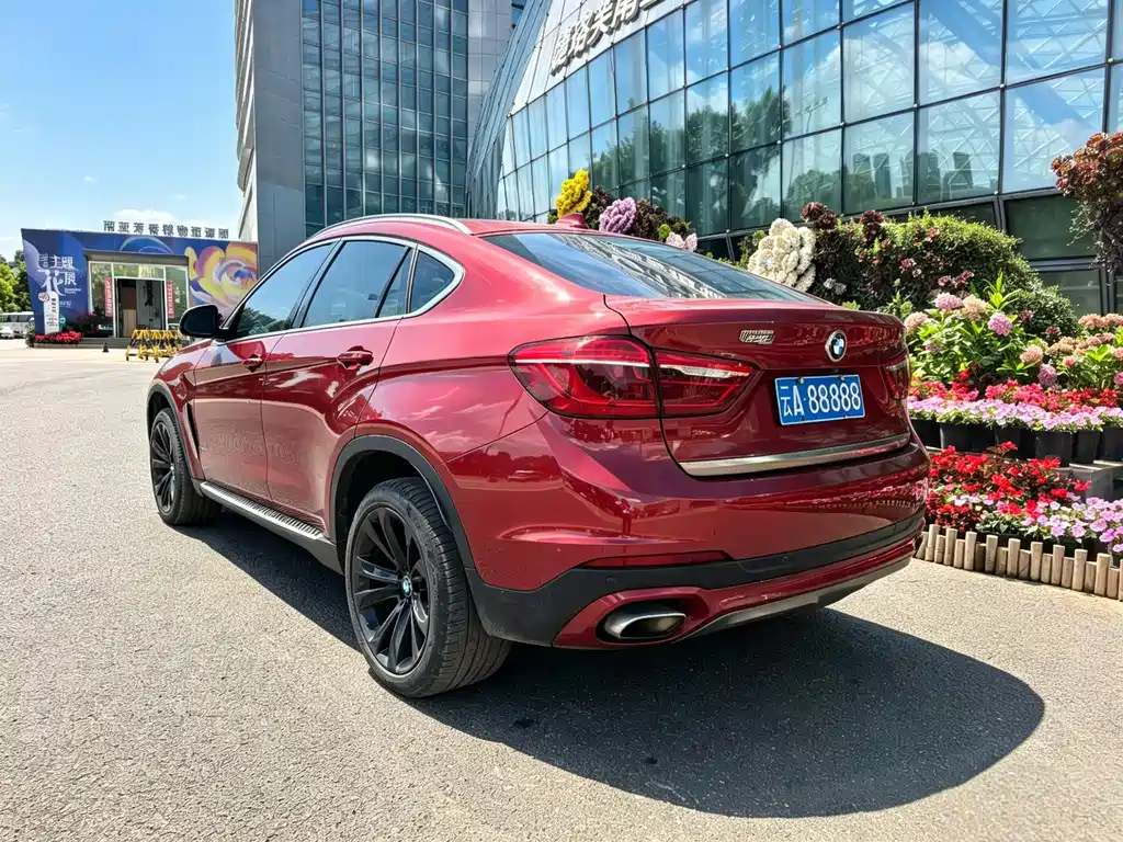 BMW X6 2018 — фото 20