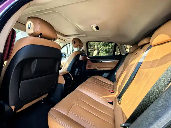 BMW X6 2018