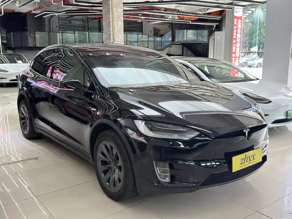 Tesla Model X 2020 — фото 9