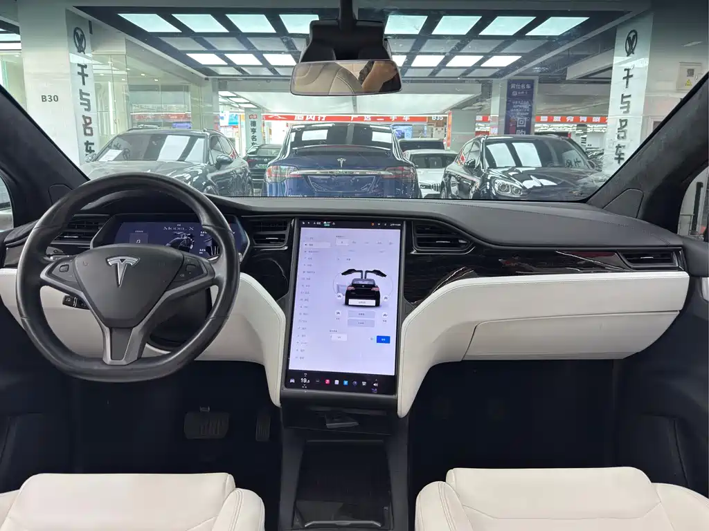 Tesla Model X 2020 — фото 20