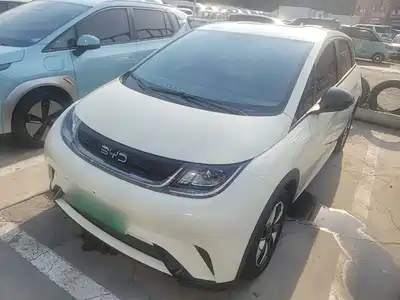 BYD Dolphin 2024