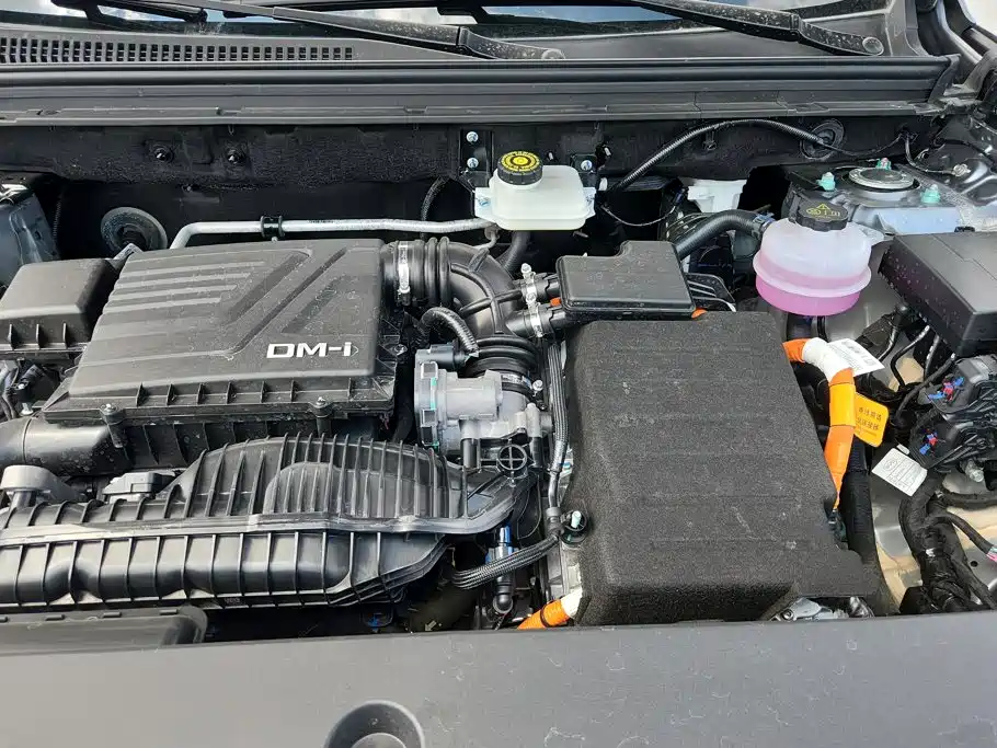 BYD Song Pro New Energy 2024 — фото 10