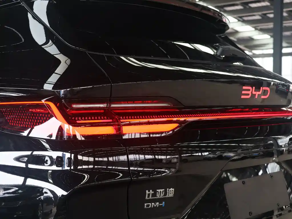 BYD Song PLUS New Energy 2025 — фото 7