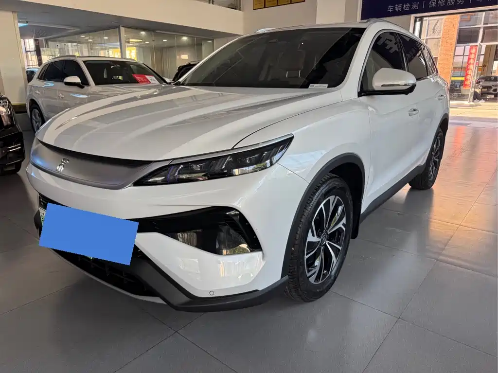 BYD Pro New Energy 2024