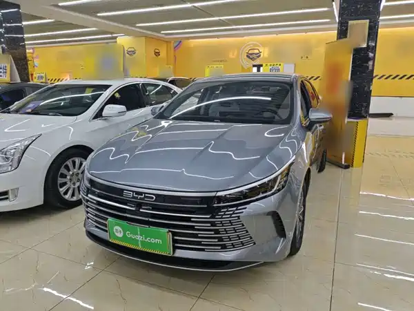 BYD Destroyer 05 2024