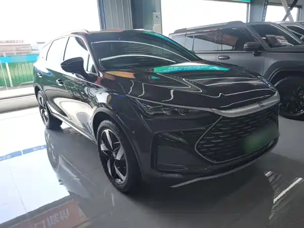 BYD Tang New Energy 2024