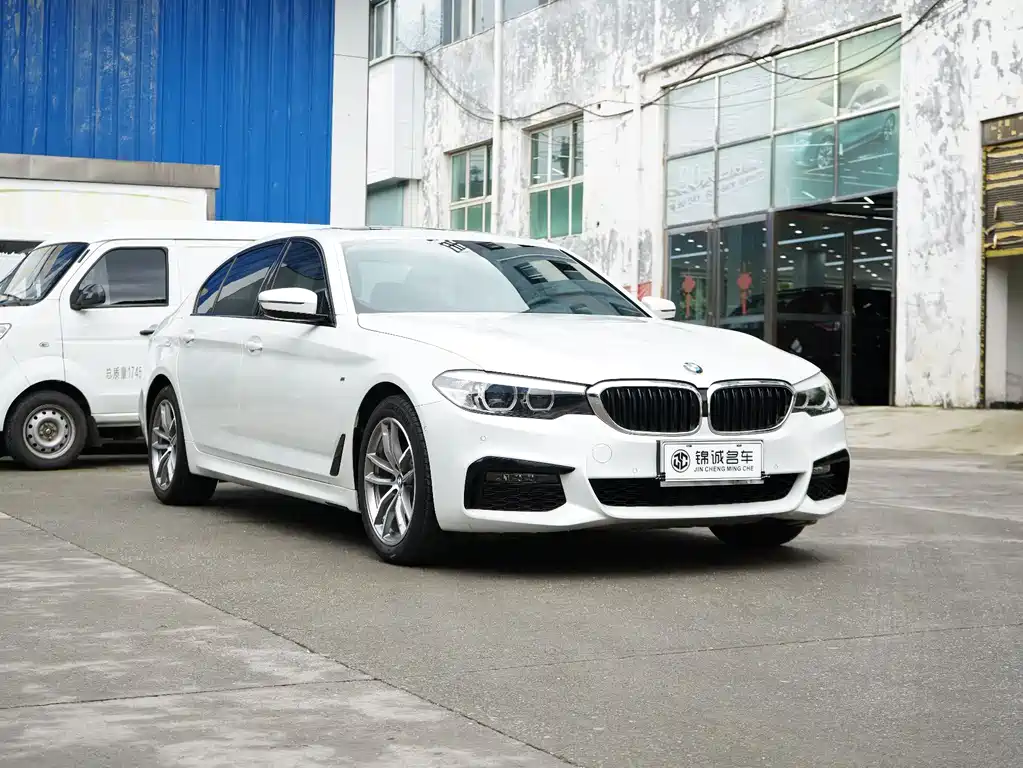 BMW 5 Series 2019 — фото 9