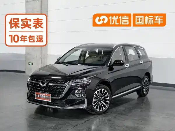 Wuling Victory 2024