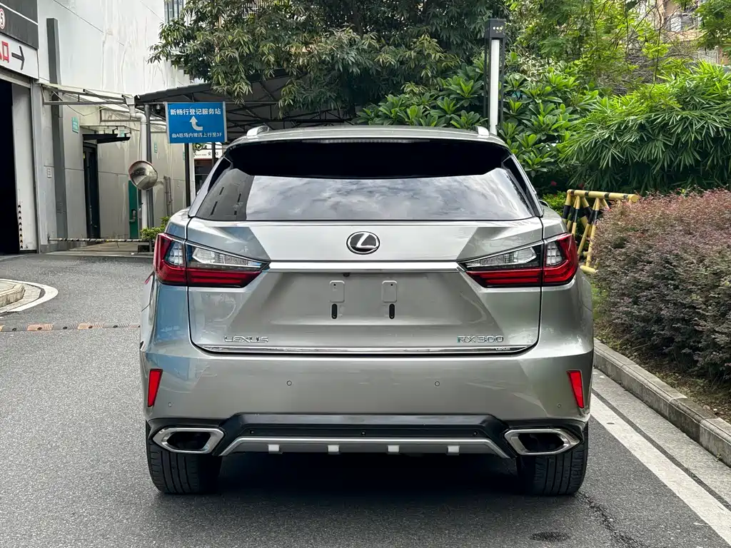 Lexus RX 2018 — фото 5