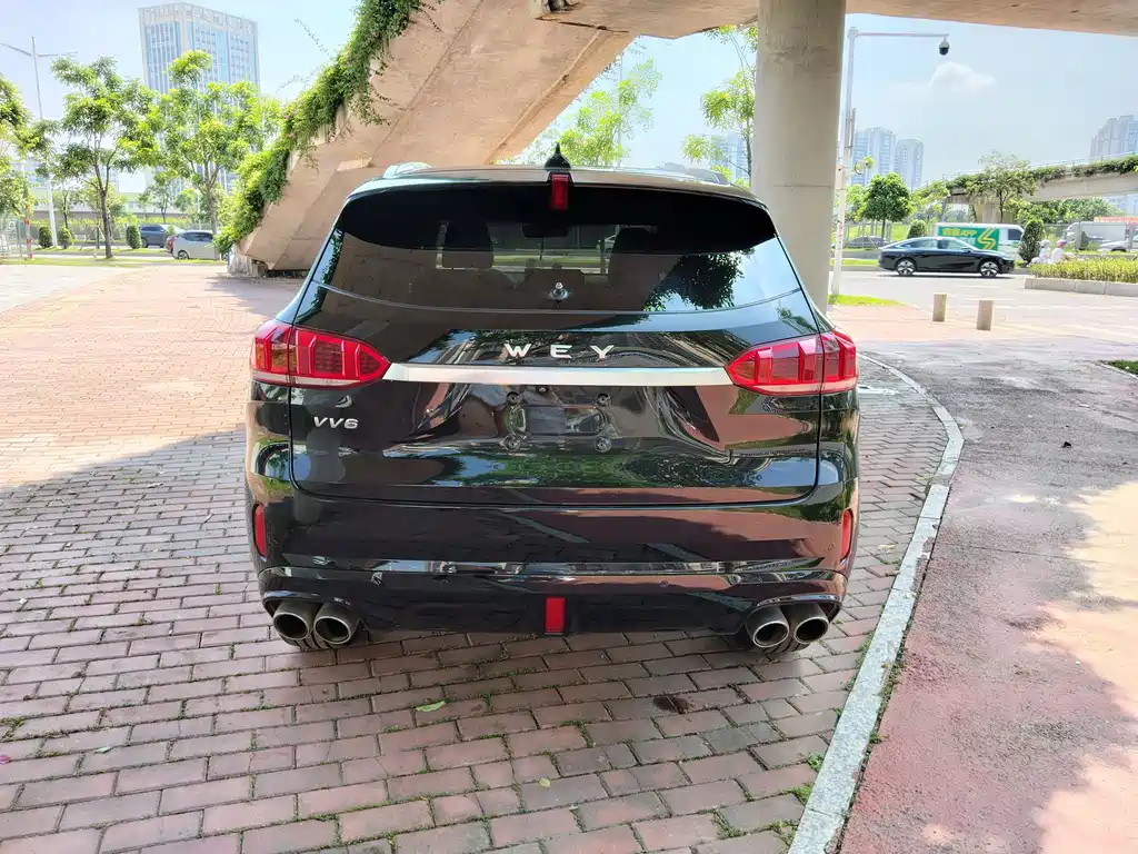 Wey VV6 2020