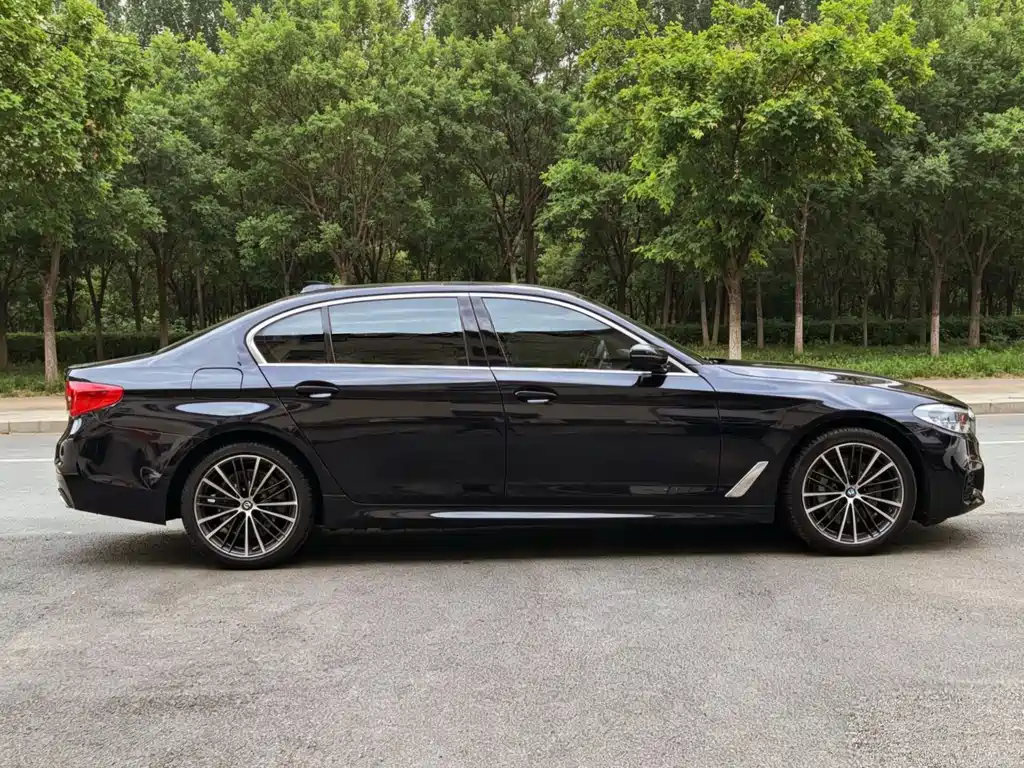 BMW 5 Series 2020