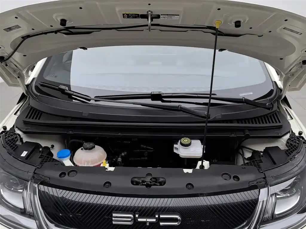 BYD Dolphin 2024