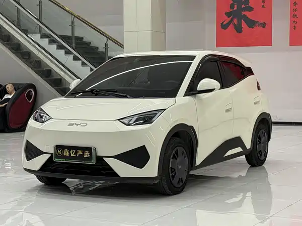 BYD Seagull 2025